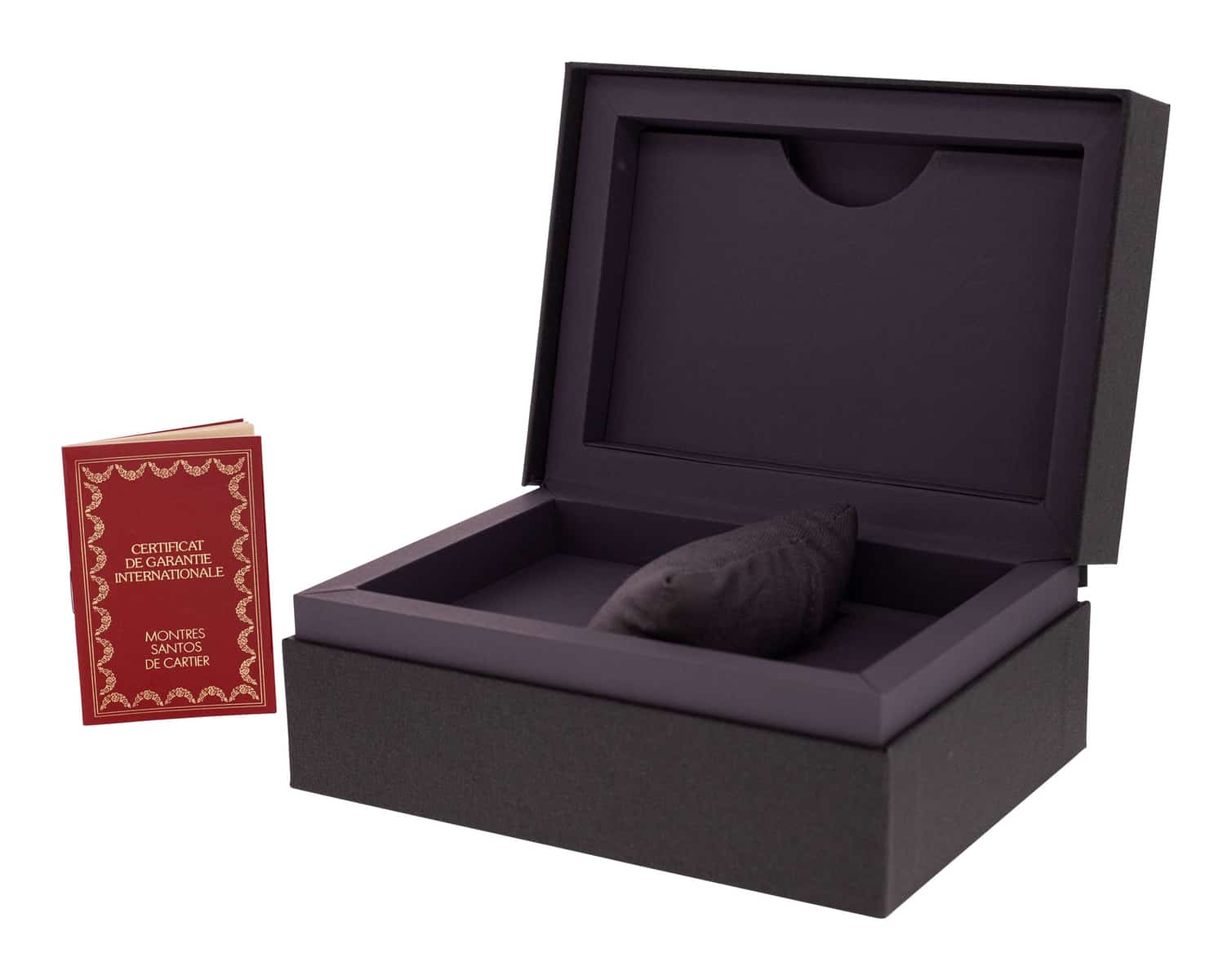 Cartier Santos Galbee W20012C4 Cartier Santos Galbee W20012C4